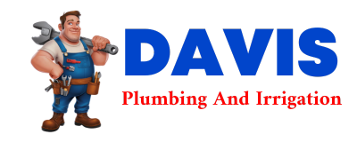 Trusted plumber in BUTLERVILLE